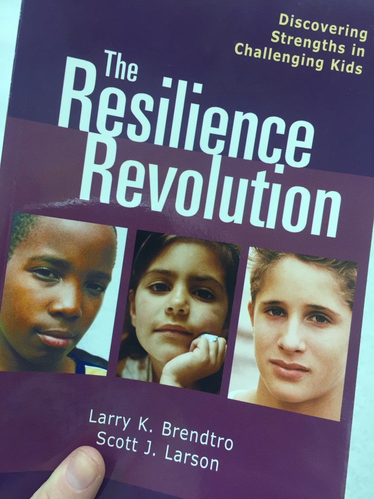 The Resilience Revolution: Discovering Strengths in Challenging Kids